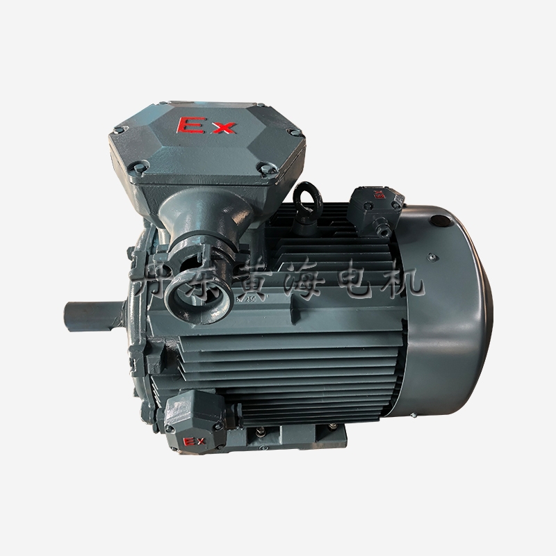 YBX4-250高效率三相异步电动机